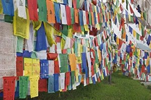 Buddhist Prayer Flags India Drucke: Buddhist prayer flags