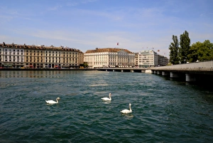 Swiss Cityscape Drucke: Buidings on the waterside