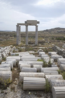 World Heritage Site Greece Drucke: Building of the Poseidoniasts