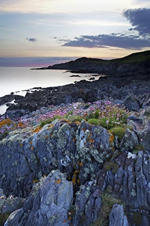 Nature Scenery In Europe Drucke: Bull Point, North Devon, Devon, England, United Kingdom, Europe