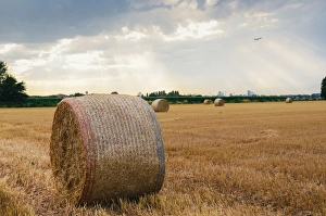 European Farmland Images Drucke: Bundles of hay, with dramatic rays of light, on the outskirts of Milan, Lombardy