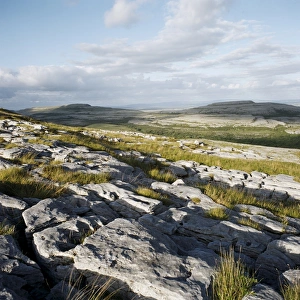 Burren Ireland Drucke: The Burren