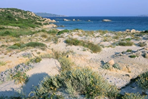 Sardinian Coastal Towns Drucke: Cala Maiore
