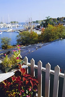 Drucke von Kamdens Hafen, Maine (USA) Camden Drucke: Kamden Hafen