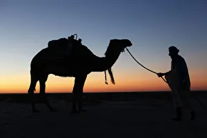 Sahara Desert Sunset Drucke: Camel driver at dusk in the Sahara desert, near Douz, Kebili, Tunisia, North Africa