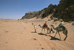 Wadi Rum Jordan Drucke: Camels in the desert