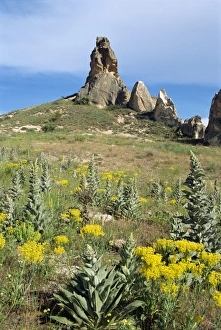 Contemporary Travel Destinations Drucke: Cappadocia