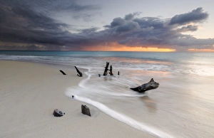 West Indies Coastal Scene Drucke: Caribbean sunset frames tree trunks on Ffryes Beach, Antigua, Antigua and Barbuda