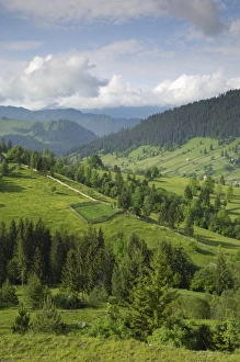 Drucke von Karpatenberge von Moldawien und Südbukowina nördlich von Campulung-Moldowskisch in Rumänien Europa Moldawien Drucke: Karpatische Gebirge von Moldawien und Südbukowina nördlich von Campulung-Moldauwensis