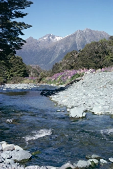 New Zealand Mountain Landscapes Drucke: Cascade Creek and Stuart Mountains