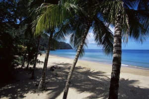 West Indies Photography Drucke: Castara Bay