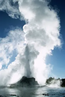 Drucke von Schlossgeyser im Oberen Geysersbecken in dem Yellowstone-Nationalpark ein Weltkulturerbe der UNESCO in den Vereinigten Staaten von Amerika (USA), Nordamerika USA Kulturerbestätten Drucke: Schloss Geysir