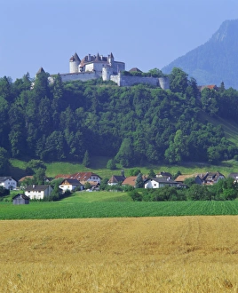 Central Europe Scenic Viewpoint Drucke: Castle, Gruyeres
