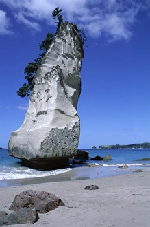 Vertical Landscape Photography Tips Drucke: Cathedral Cove