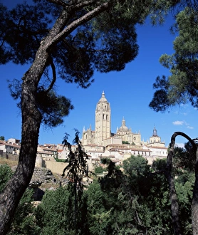 Christian Landmarks Europe Drucke: The cathedral framed by pine trees