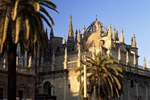 Outdoor Photography Spain Drucke: The cathedral and palms at sunset
