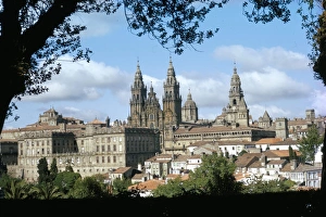 European Cathedral Drucke: Cathedral from the park