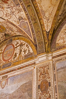 Tuscany European Landmarks Drucke: Ceiling detail