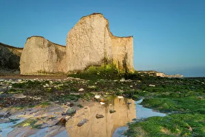Kent Coastline Images Drucke: Chalk cliffs reflected, Botany Bay, Broadstairs, Kent, United Kingdom, Europe