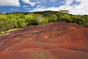 Mauritius Travel Destination Drucke: Chamarel coloured earth, Chamarel, Savanne, Mauritius, Indian Ocean, Africa