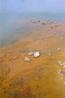 Pacific Ocean Rock Formation Drucke: Champagne Pool