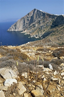 Cyclades Greece Tourism Drucke: Chapel and Khora