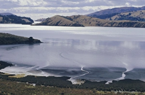 Peaceful Ocean View Drucke: Charteris Bay