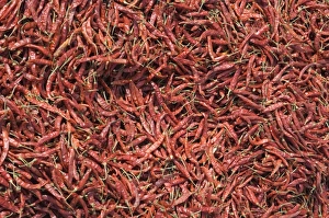 Chilli Peppers Drucke: Chilli peppers