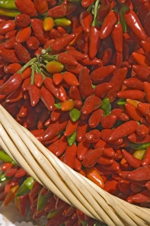 Red Chilli Peppers Drucke: Chillies