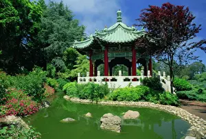 Chinesisch Drucke: Chinesisches Pavillon am See im Goldengate-Park von San Francisco