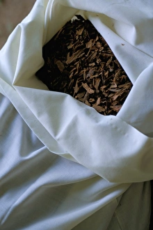 Indian Ocean Photography Drucke: Cinnamon bark