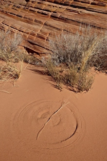 American Geology Formations Drucke: Circle in red sand created by a rotating twig