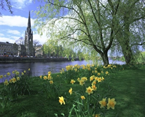 Scottish Architecture Images Drucke: City in spring