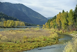 Rocky Mountains Photography Drucke: The Clark Fork River in the fall