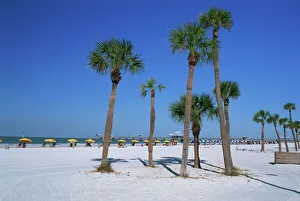Drucke von Klarwasserstrand (Bay) am Golf von Florida in den Vereinigten Staaten von Amerika im Nordamerika Florida Drucke: Klarowasserstrand