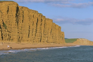 UK Beaches Drucke: Cliffs towering over West Bay Beach, Dorset, England, United Kingdom, Europe