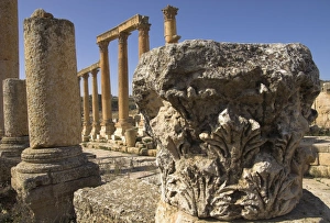 Jerash Archaeological Site Drucke: Close up of column capital