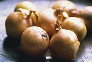 Vegetable Images Drucke: Close-up of onions