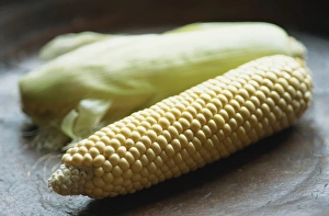 Cornfield Harvest Season Drucke: Close-up of uncooked corn on the cob
