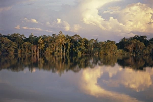 Cloudy Countryside View Drucke: Clouds reflected in the Sepik River