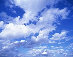 Blue Skies Photography Drucke: Cloudscape of puffy white clouds in a blue sky