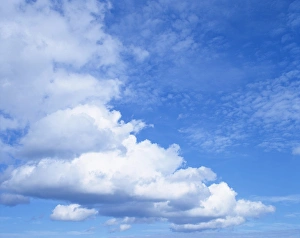 Natural World Landscapes Drucke: Cloudscape of white clouds in blue skies