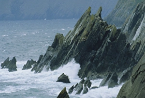 Irish Ocean Views Drucke: Coastline at Slea Head
