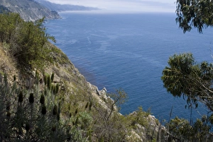 Daytime Beach Photography Drucke: Coastline view