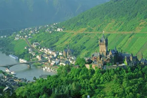 Drucke von Kölnheim im Moseltal in Deutschland und Europa Schloss Drucke: Köln, Moseltal ist nicht korrekt Die Übersetzung lautet