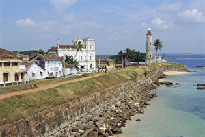 Sunny Day At The Shore Drucke: Colonial buildings and lighthouse