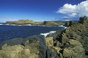 Coastal Basalt Columns Drucke: Columnar structures, created during cooling of basalt lava