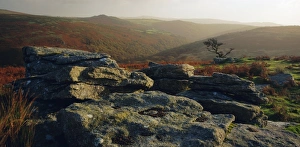 Devon England Tourism Drucke: Combestone Tor, Dartmoor, Devon, England