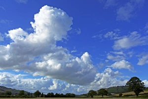 UK Countryside Scenes Drucke: Cornfields, Exe Valley, Devon, England, United Kingdom, Europe