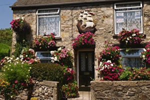 Cornish Cottage Architecture Drucke: Cottage garden, Marazion, Cornwall, England, United Kingdom, Europe